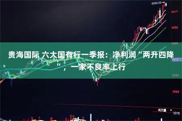 贵海国际 六大国有行一季报：净利润“两升四降”，一家不良率上行