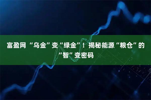 富盈网 “乌金”变“绿金”!揭秘能源“粮仓”的“智”变密码