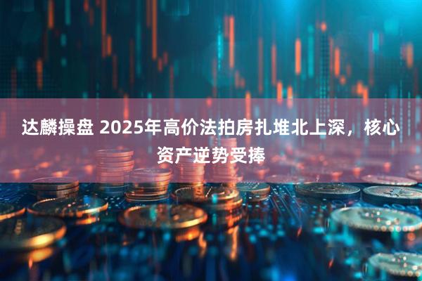 达麟操盘 2025年高价法拍房扎堆北上深，核心资产逆势受捧