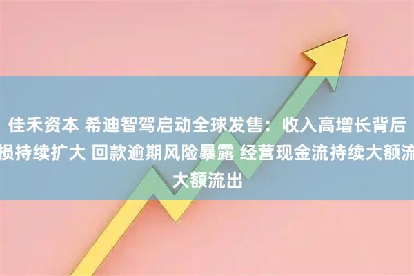 佳禾资本 希迪智驾启动全球发售：收入高增长背后亏损持续扩大 回款逾期风险暴露 经营现金流持续大额流出